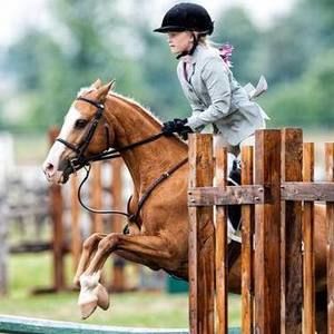 Meet your Posher, Harley